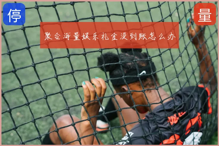 聚合海量娱乐礼金没到账怎么办